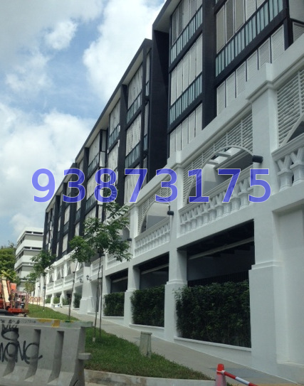 1919 (D9), Apartment #166394322
